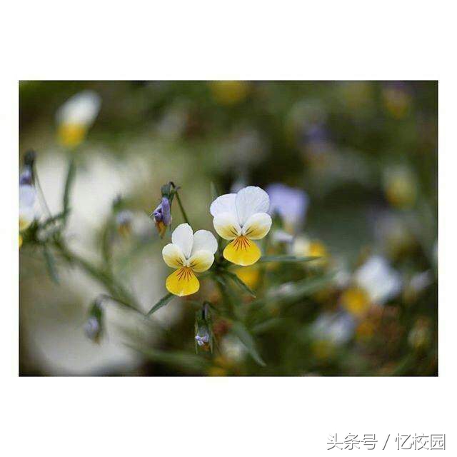 适合做qq签名的经典句子,适合做qq签名的句子短句