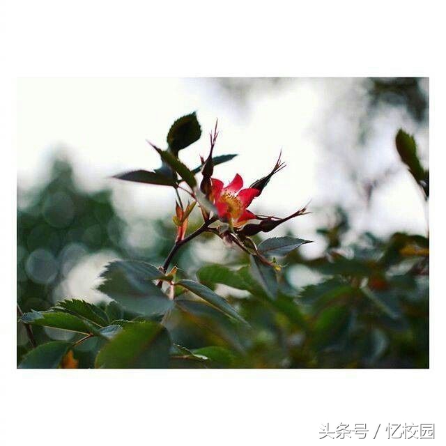 适合做qq签名的经典句子,适合做qq签名的句子短句