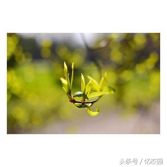 适合做qq签名的经典句子,适合做qq签名的句子短句