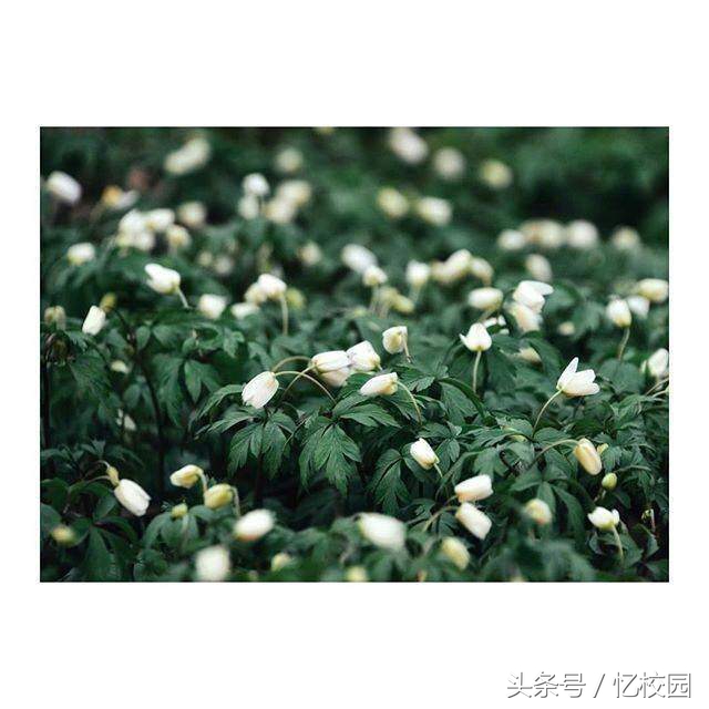 适合做qq签名的经典句子,适合做qq签名的句子短句