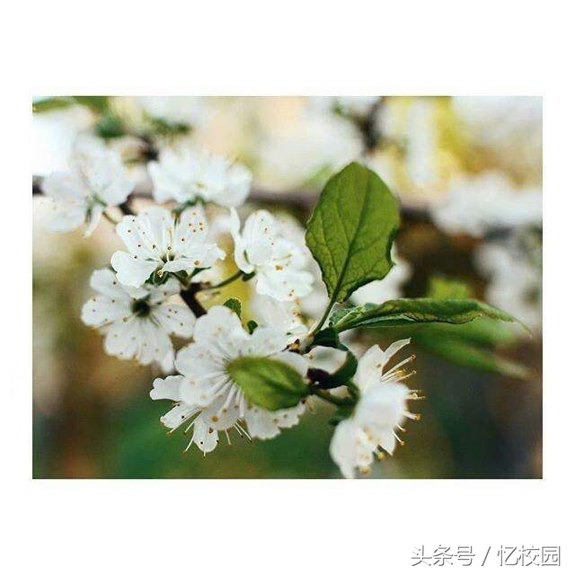 适合做qq签名的经典句子,适合做qq签名的句子短句