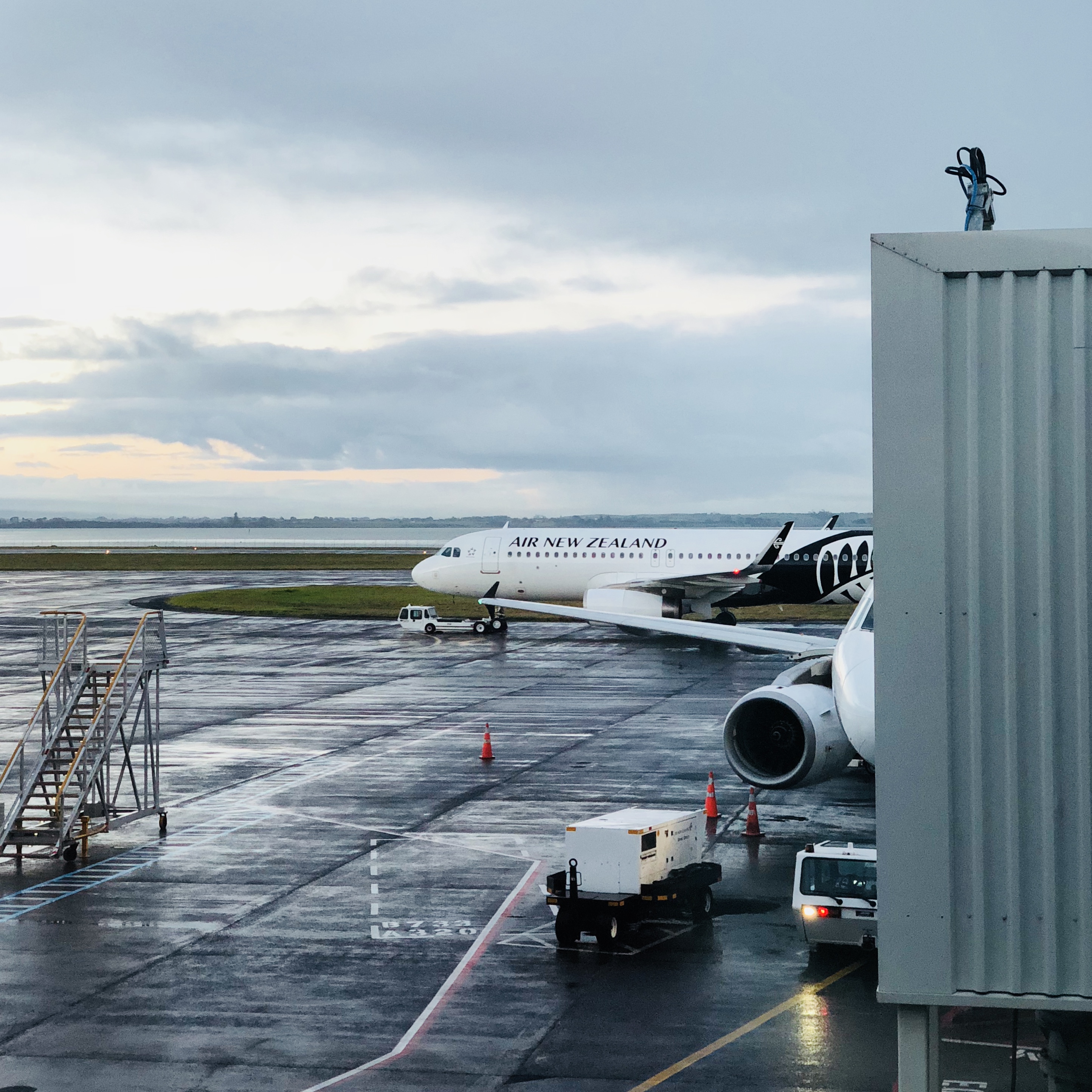 新西兰航空经济舱体验,新西兰飞机体验