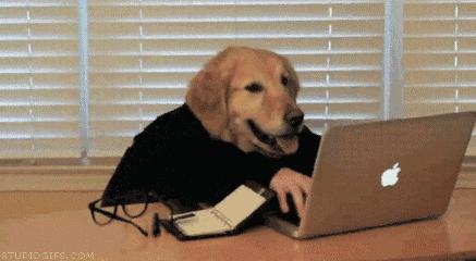 为什么有的人看不懂英文缩写,为什么看不懂英文缩写