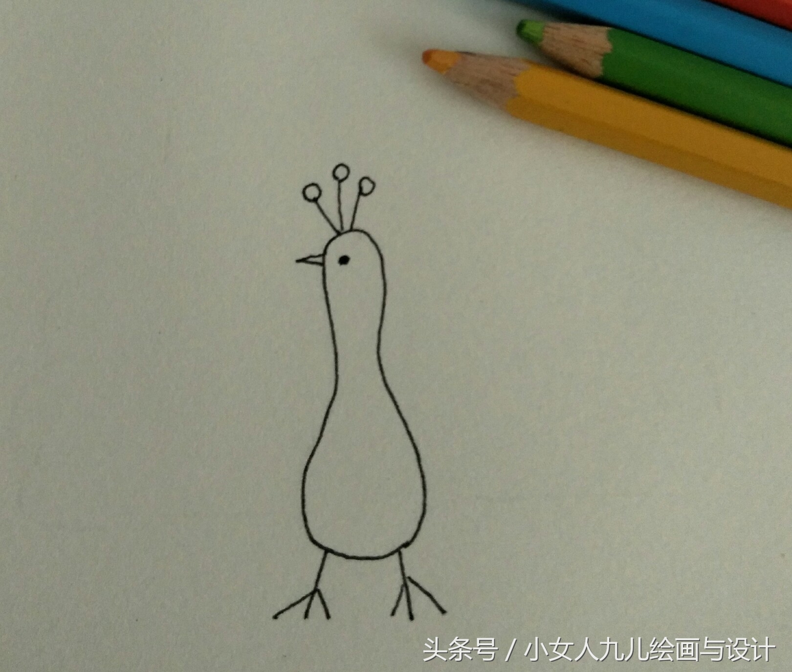 如何用手画孔雀简笔画,简笔画孔雀十二种画法