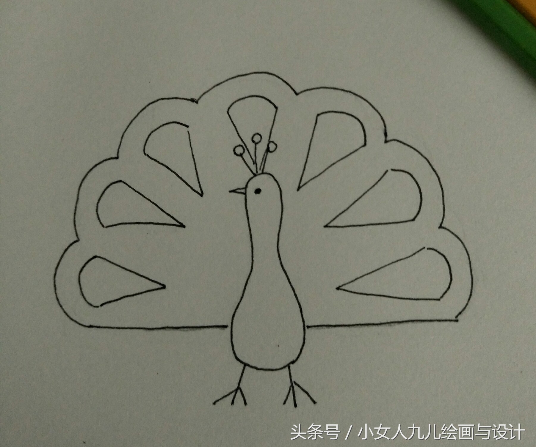 如何用手画孔雀简笔画,简笔画孔雀十二种画法