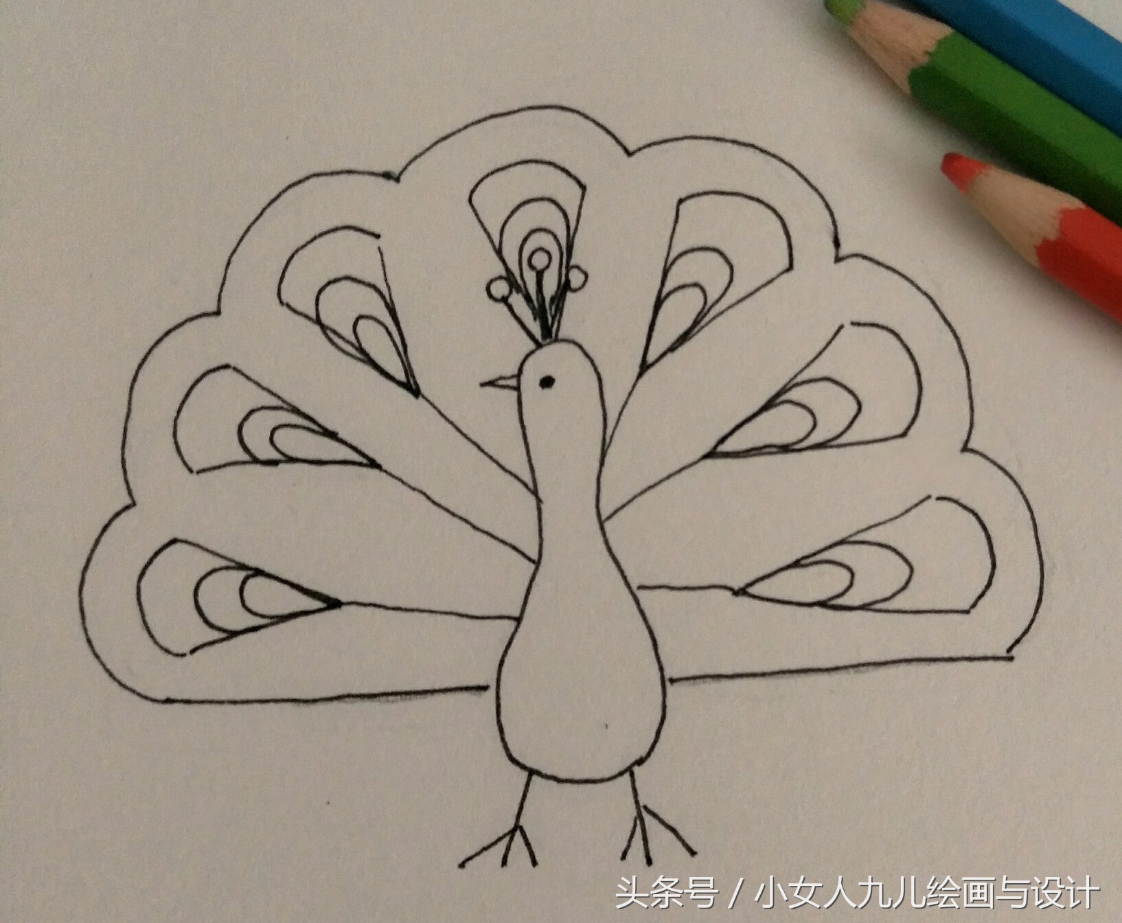 如何用手画孔雀简笔画,简笔画孔雀十二种画法