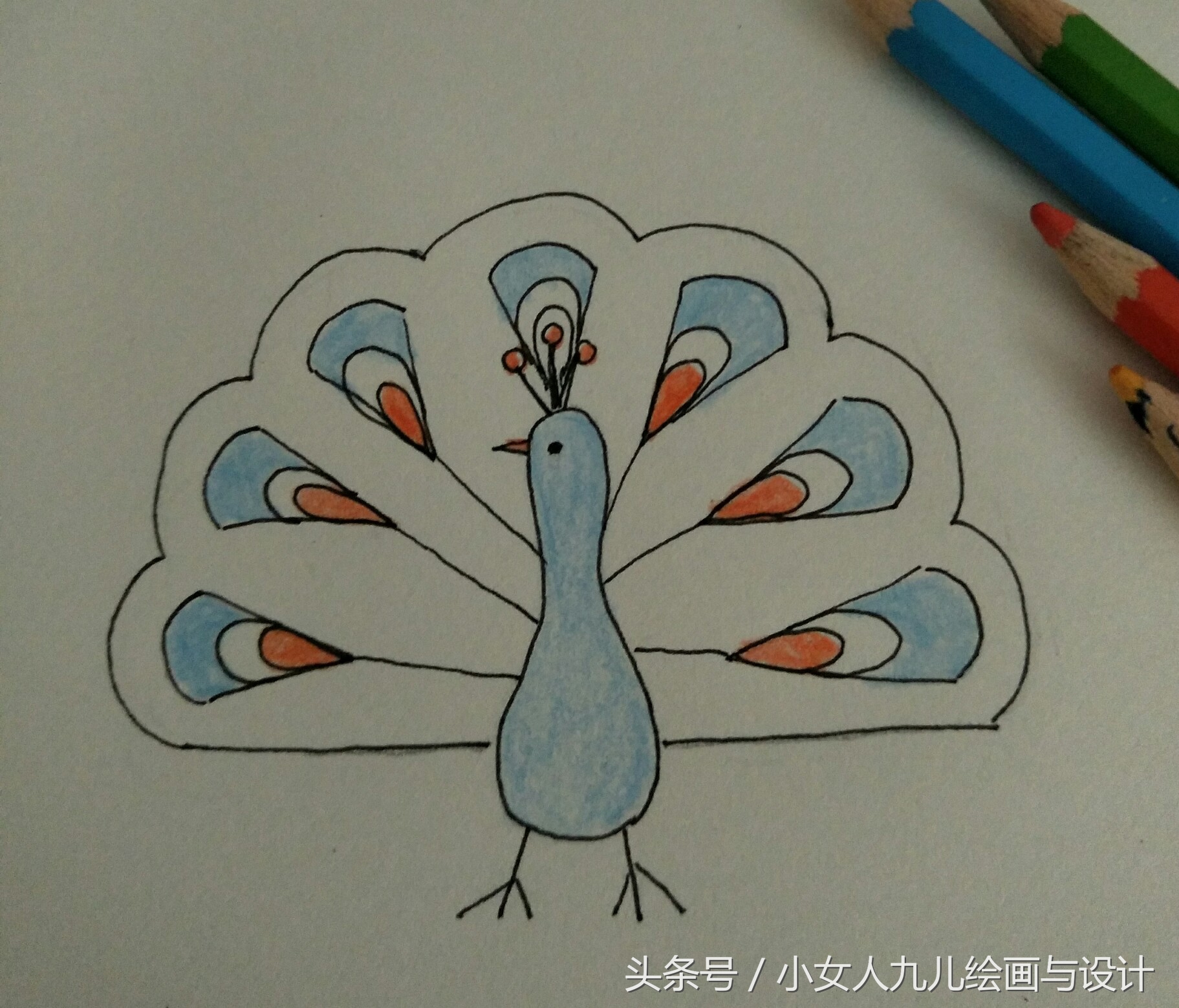 如何用手画孔雀简笔画,简笔画孔雀十二种画法