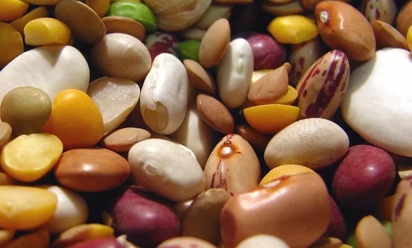 花生吃多了有什么危害,小孩花生吃多了有什么危害