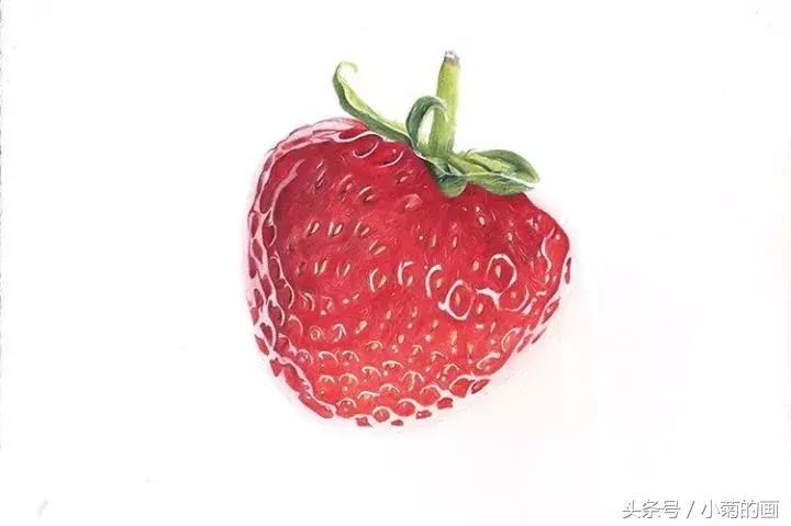 彩铅素描都是用的哪种彩铅,零基础学彩铅要先学会素描吗