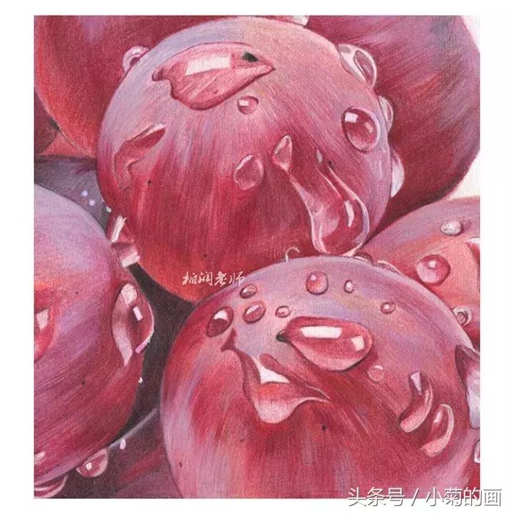 彩铅素描都是用的哪种彩铅,零基础学彩铅要先学会素描吗