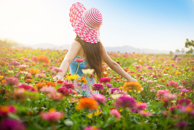生肖猪的人性格坚持且乐观,生肖猪的人性格和脾气