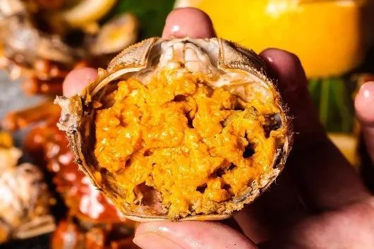 忙归忙，勿忘“六月黄”，今年第一个吃螃蟹的人是谁？