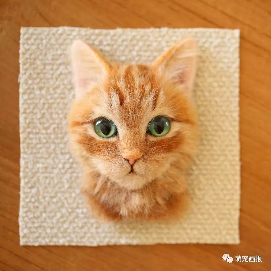 超逼真羊毛毡小猫,超逼真的猫模型