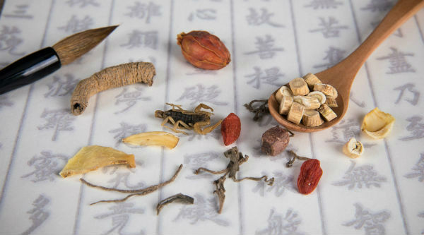 文化精粹集锦,文化博览中心服装展览