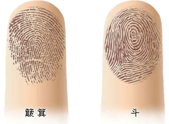 手指上的螺代表什么,快来看看你有几个簸箕