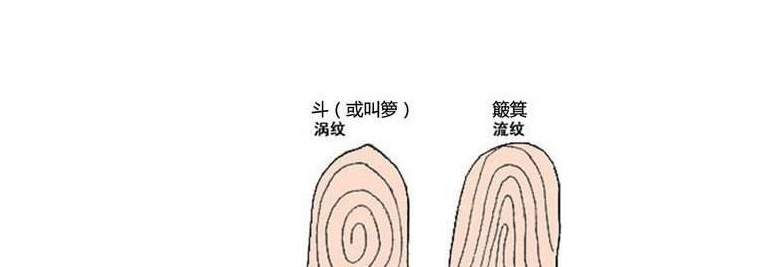 手指上的螺代表什么,快来看看你有几个簸箕