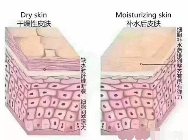 几天敷一次面膜最好,隔一天敷一次面膜