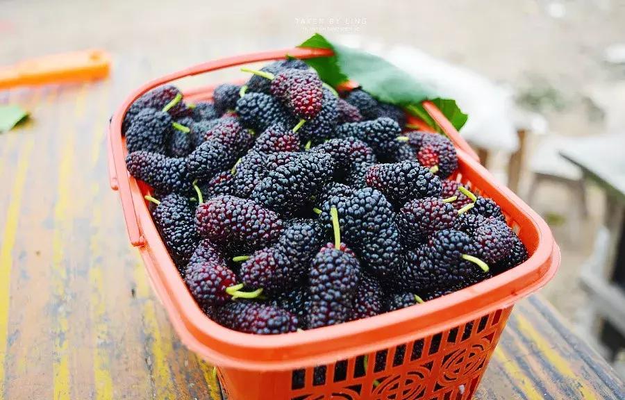 甩掉老花眼,甩掉老花眼捏三个穴位