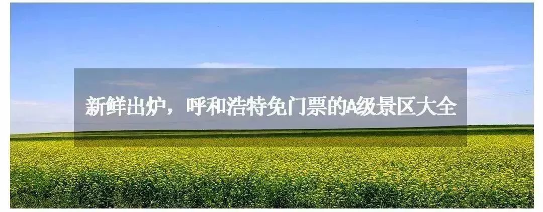 呼和浩特青城旅游,呼和浩特市内游玩攻略青城驿站