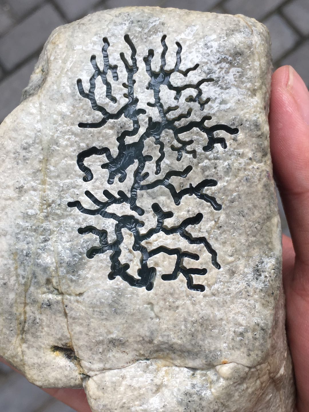 假皮莫西沙原石开窗打灯表现视频,莫西沙开窗要不要把白雾层擦掉