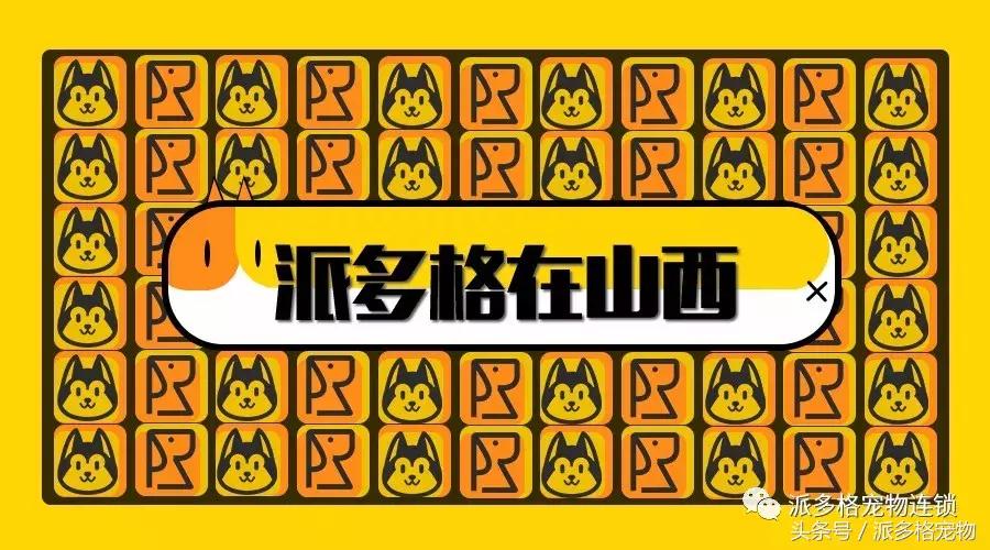 派多格宠物店服务态度,派多格宠物店注意事项