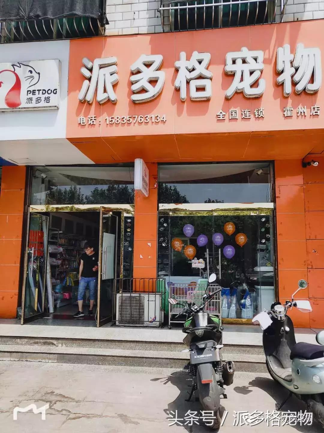 派多格宠物店服务态度,派多格宠物店注意事项