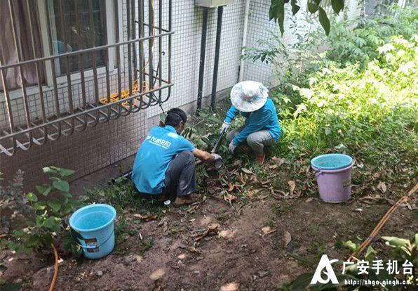 除四害保健康倡议书,除四害保健康