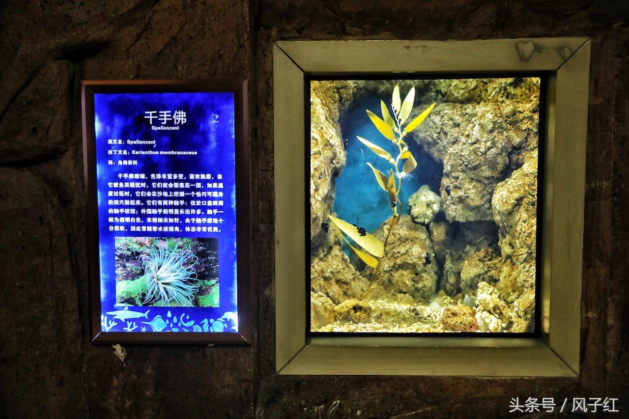 福州避暑网红景点前十名,福州夏天周边游景点推荐最新