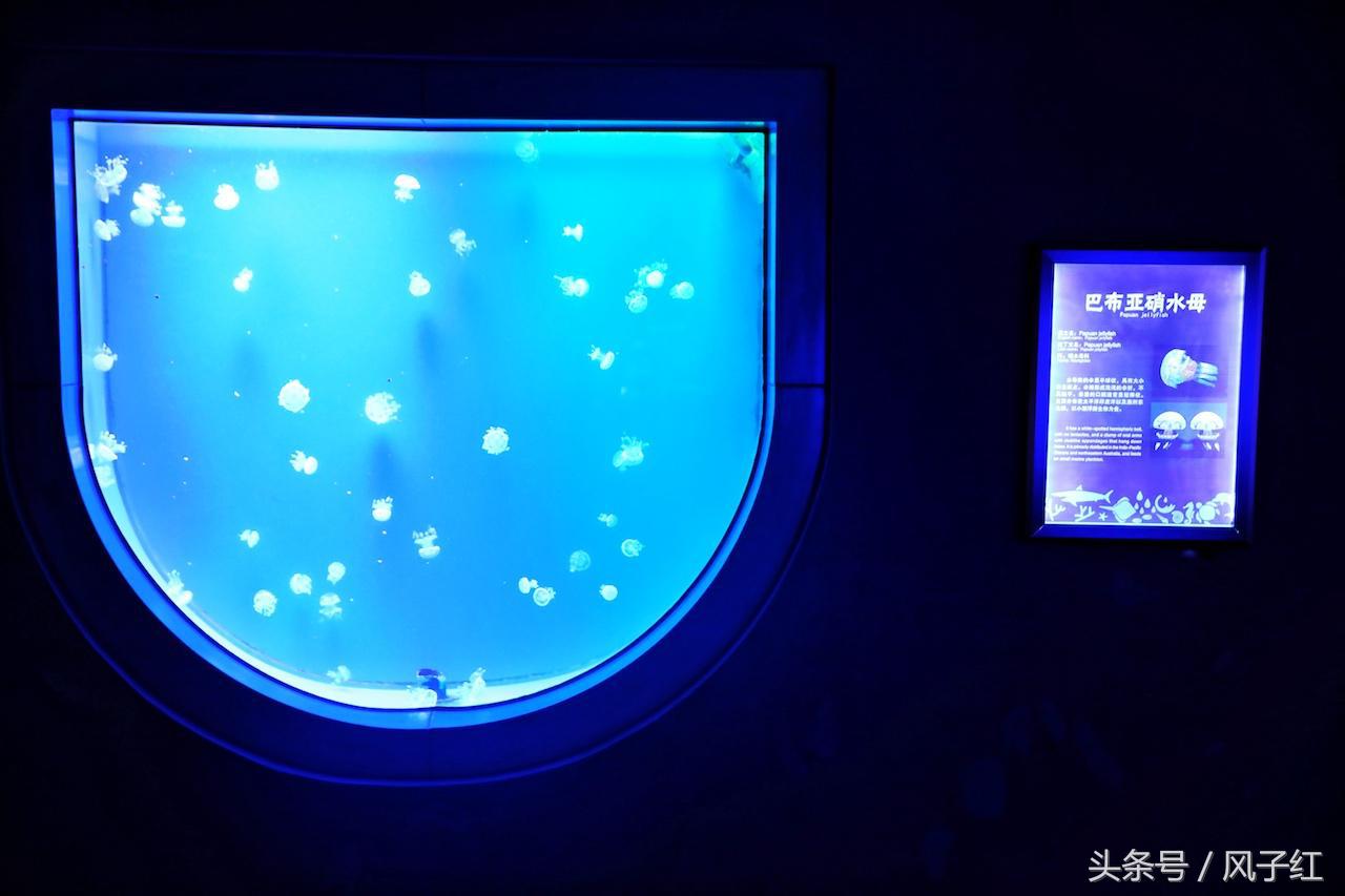 福州避暑网红景点前十名,福州夏天周边游景点推荐最新