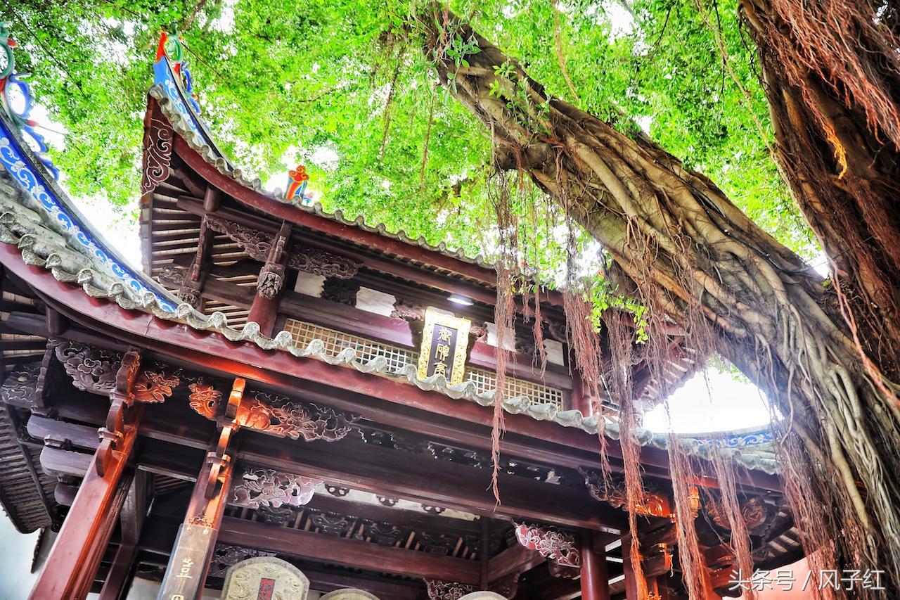 福州避暑网红景点前十名,福州夏天周边游景点推荐最新