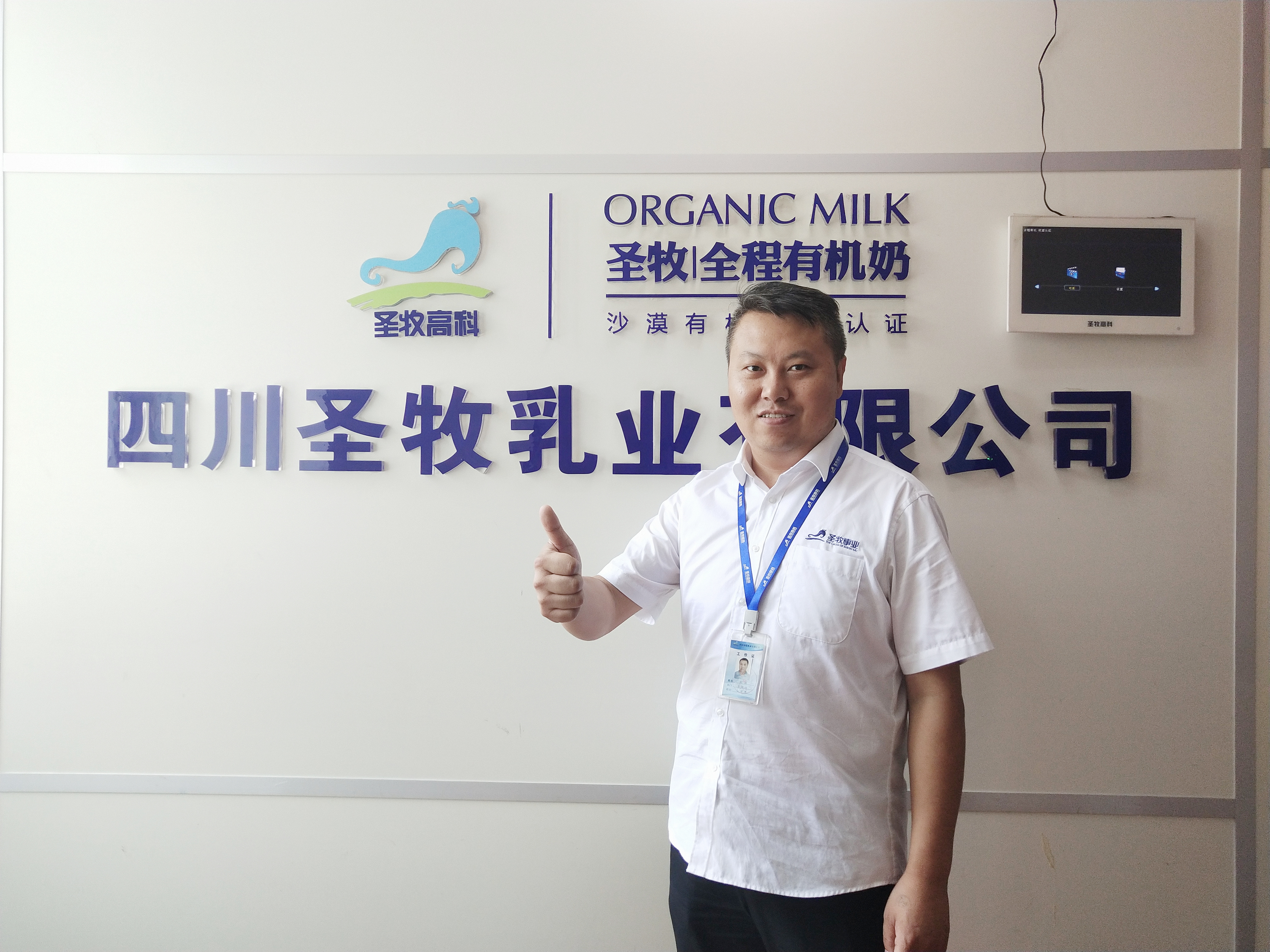 牛奶圣牧怎么样,最好的纯牛奶圣牧