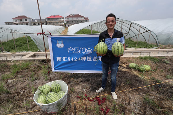 大兴“8424”充斥市场怎么办？点点手机就可以买到官方认证的