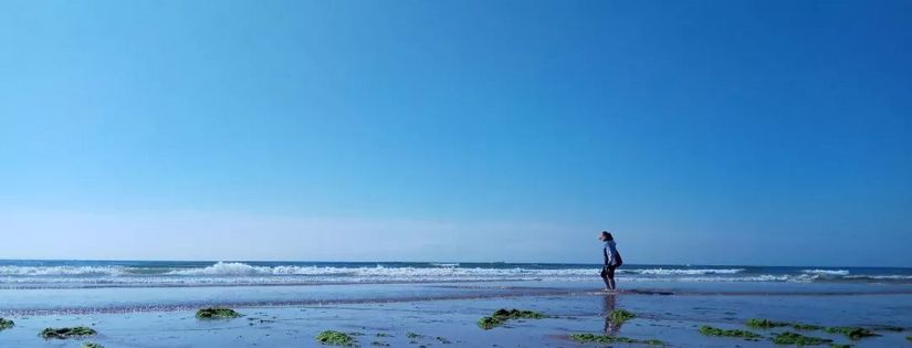 魂牵梦绕的沙滩海浪,魂牵梦绕的大海