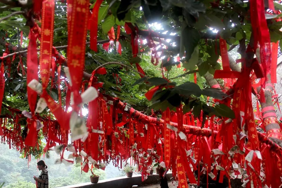 晨雾蒙蒙完整版,佳能650d到底怎么样拍风景