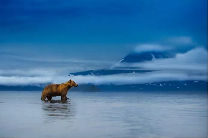 《自然之美》,自然之美摄影大赛