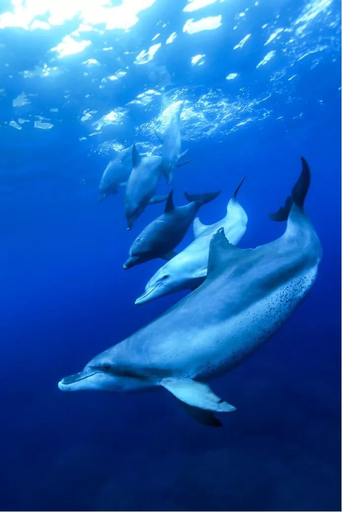 《自然之美》,自然之美摄影大赛