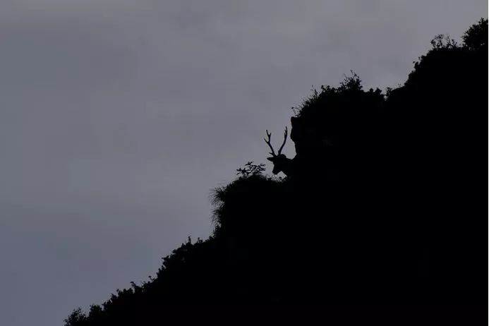 《自然之美》,自然之美摄影大赛