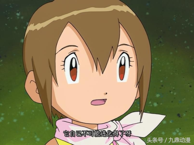 数码宝贝不使用装甲进化,盘点数码宝贝进化形态