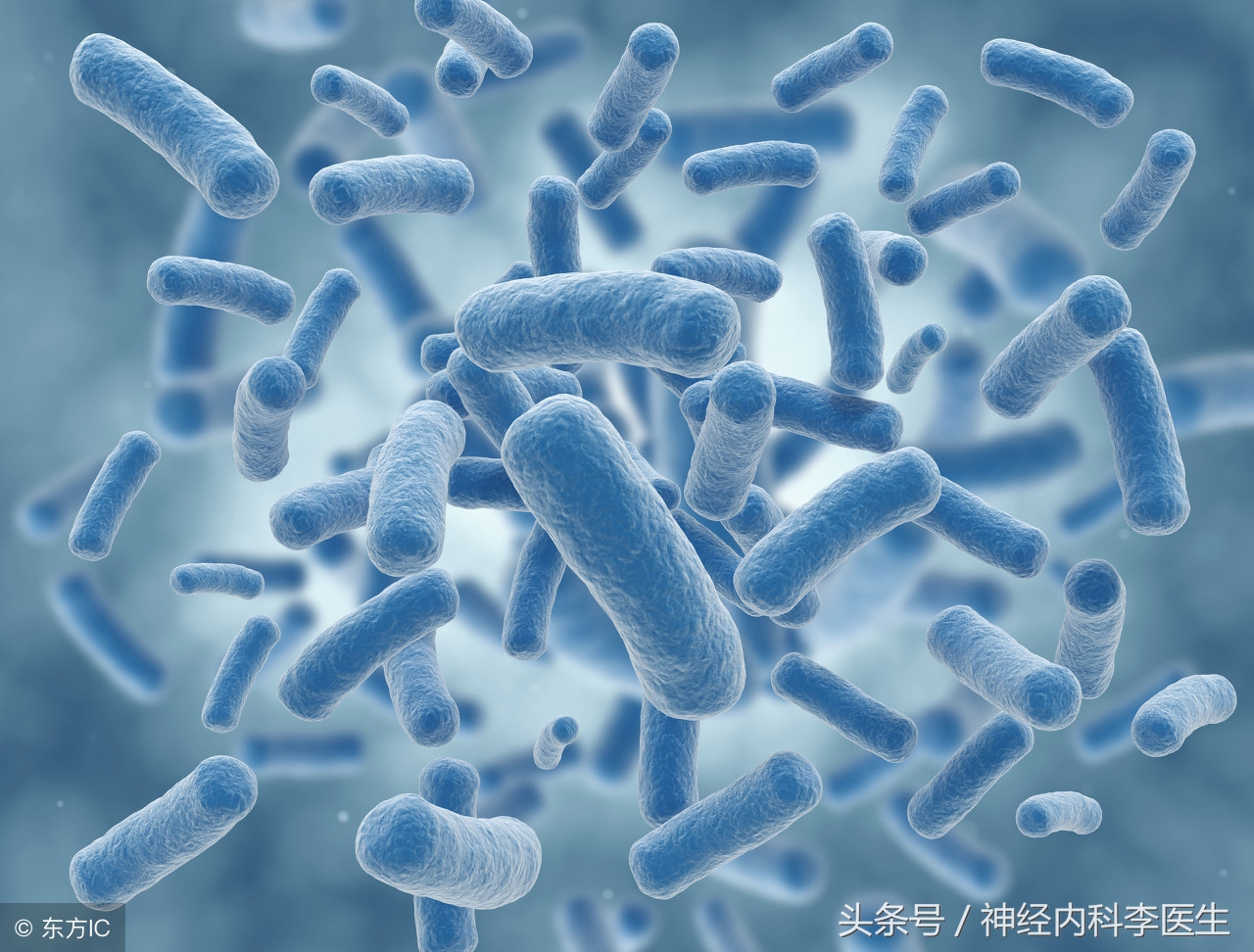 李医生说执业医师考试，「考点总结」妇科疾病篇（二）