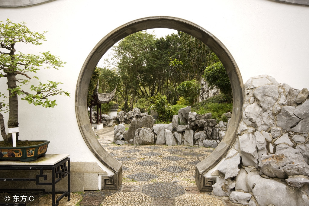 清韵优雅的盆景欣赏,盆景欣赏难得一见的绝美盆景艺术