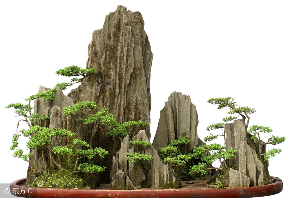 清韵优雅的盆景欣赏,盆景欣赏难得一见的绝美盆景艺术