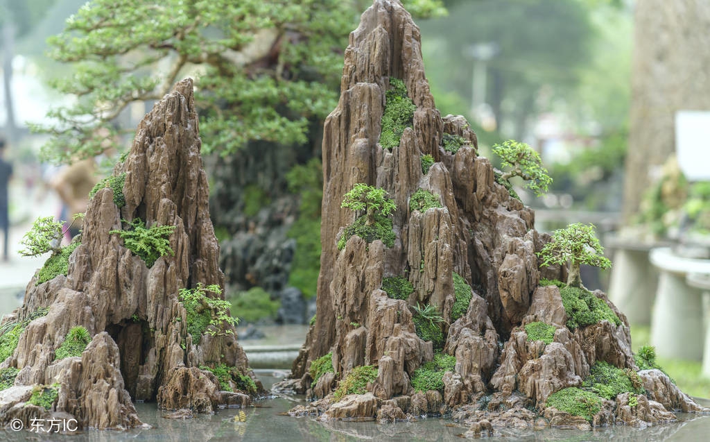 清韵优雅的盆景欣赏,盆景欣赏难得一见的绝美盆景艺术