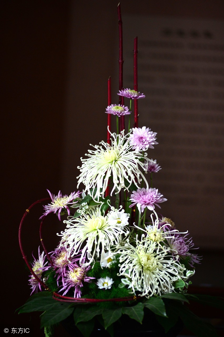 清韵优雅的盆景欣赏,盆景欣赏难得一见的绝美盆景艺术