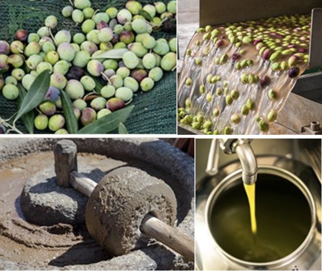 特级初榨橄榄油怎么生吃好吃一点,橄榄油益处