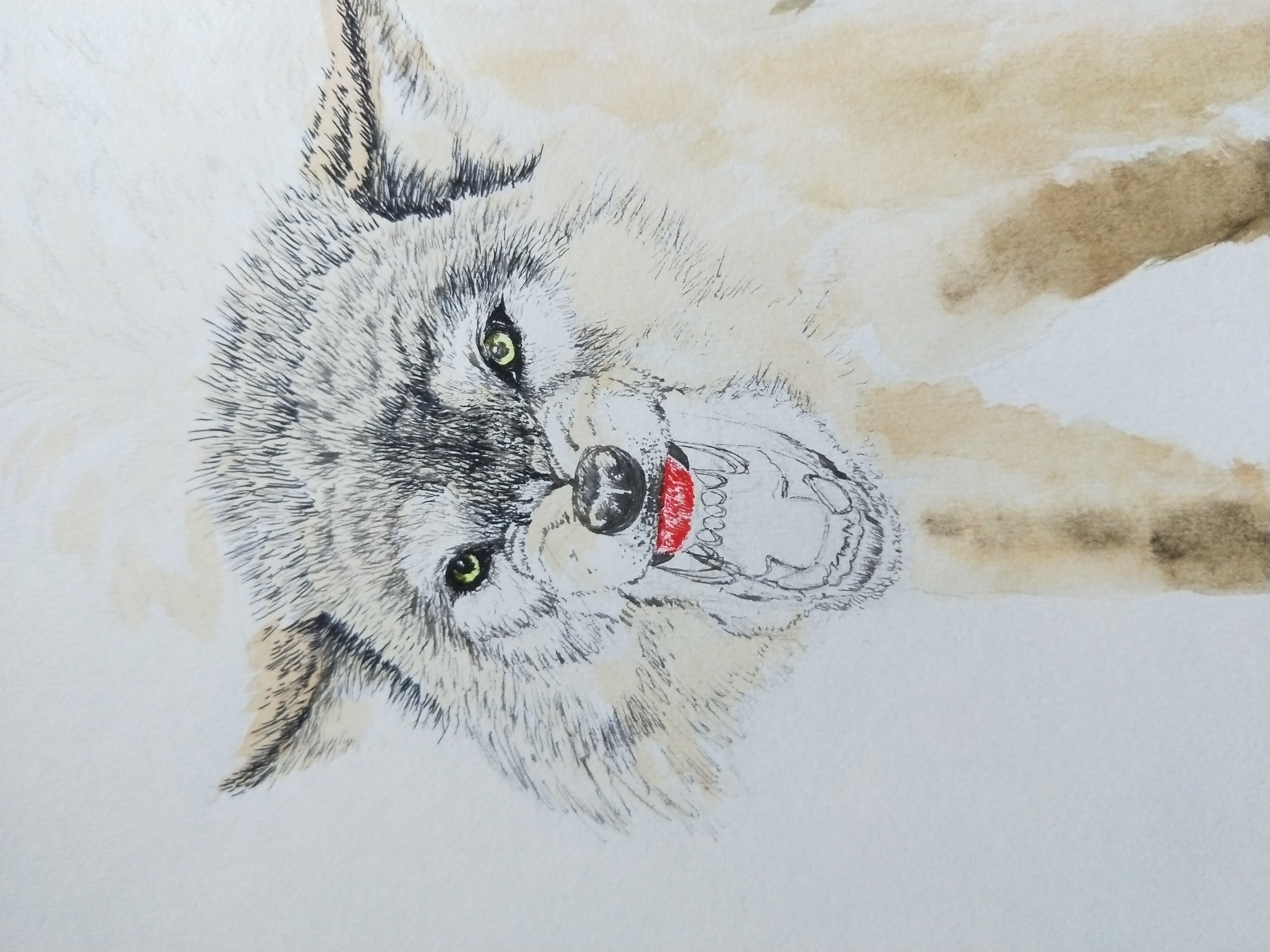 幸福原创画吧(7月24日)画友习作分享