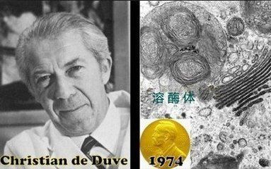 16小时断食有什么坏处吗,断食减肥会不会伤胃