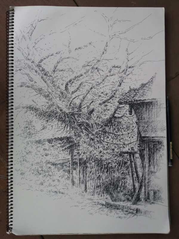 幸福原创画吧(7月24日)画友习作分享