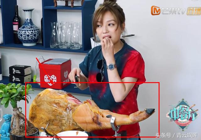 赵薇戴过的项链,赵薇炫富