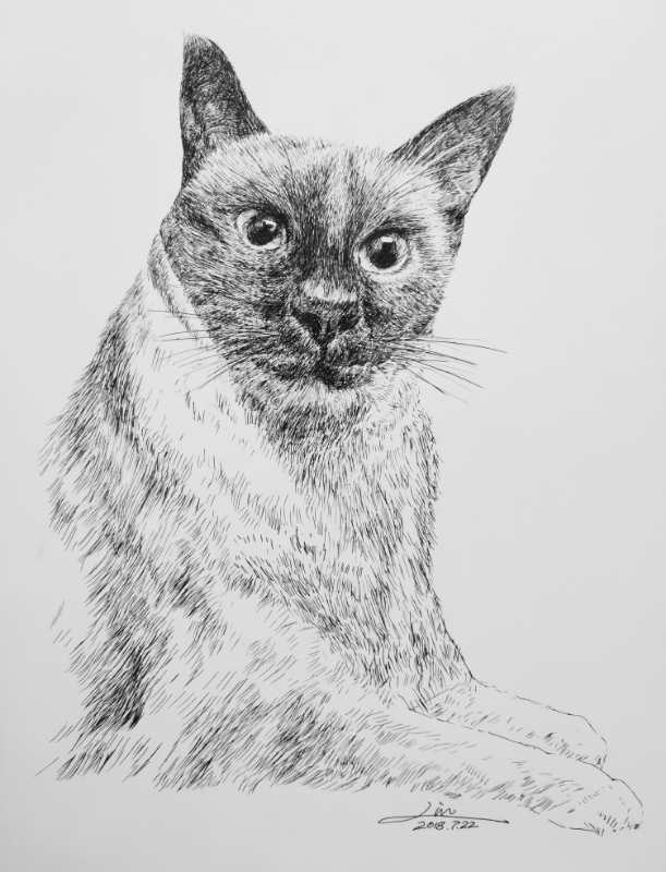 幸福原创画吧(7月24日)画友习作分享