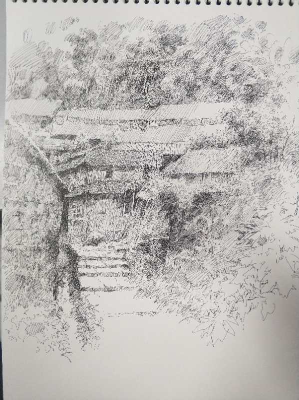 幸福原创画吧(7月24日)画友习作分享